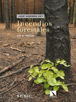 cover image of Incendios forestales